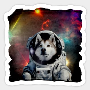 Boldly Go Where No Husky Has Before Sticker